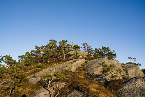 Terrenget på Kvassåsen.