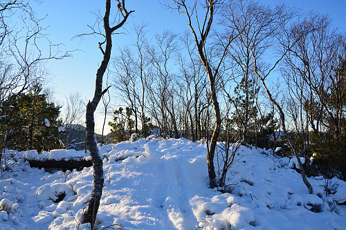 Toppen av Høgåsen, 112 moh