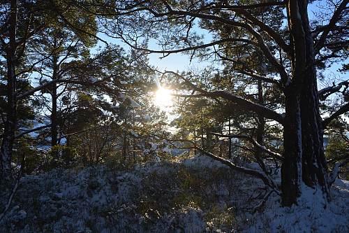 Toppen av Humpen, 138 moh.