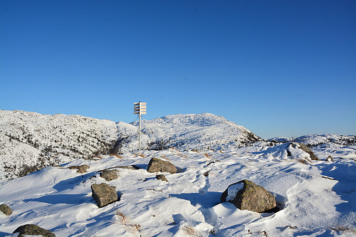 Toppen av Lindelifjellet, 414 moh.