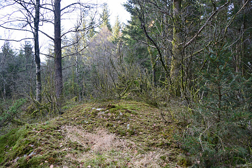 Toppen av Kvamsåsen, 209 moh.