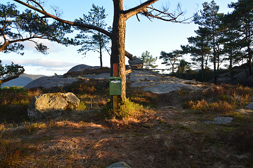 Toppen av Havåsen, 132 moh.