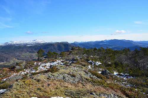 Utsikt over Nedstrand fra Hellebrekkene.