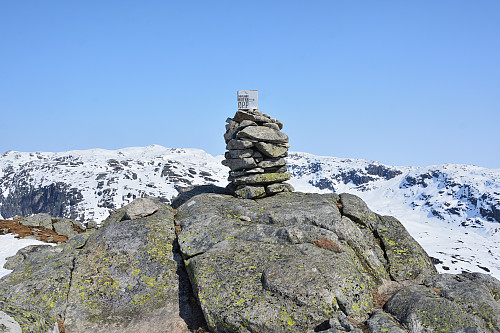 Varden på Hovlandsnuten, 931 moh.