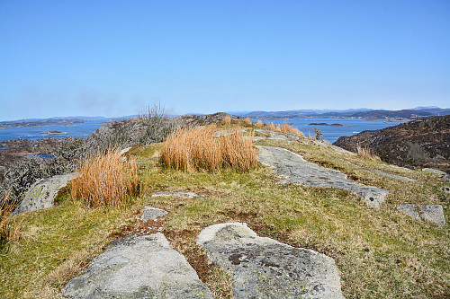 Toppen av Buarfjellet, 101 moh.