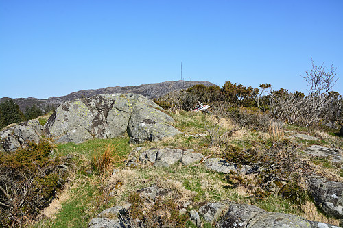 Toppen av Håmannsnuten, 84 moh.