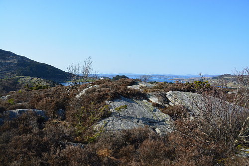 Toppen av Linefjellet, 110 moh.