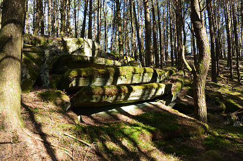 Trappetrinn i Skogen.