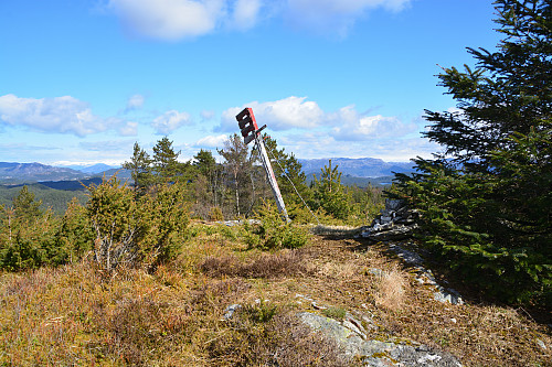 Toppen av Tveitalifjellet, 162 moh.