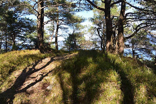 Toppen av Selsåsåsen, 168 moh.