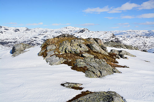 Toppen av Hallenuten, 1062 moh.