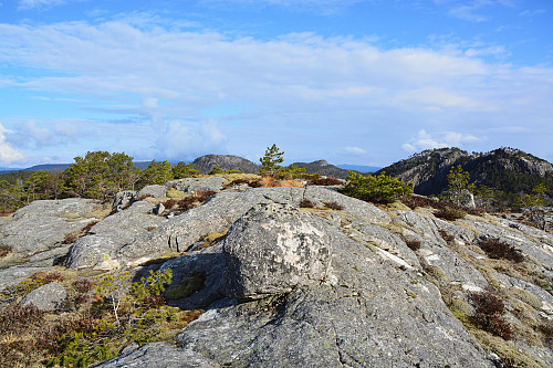 Toppen av Vardaheia, 411 moh.