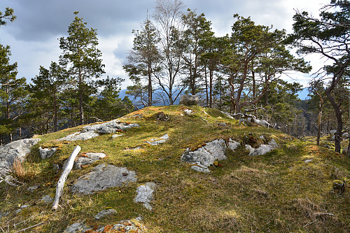 Toppen av Kyrkjefjellet, 455 moh.