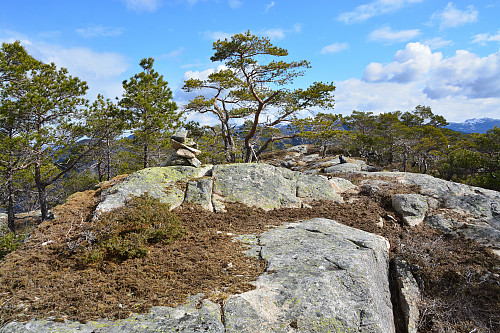 Toppen av Higraheia, 438 moh.