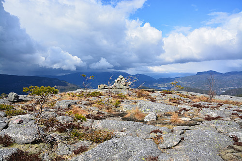 Toppen av Lødalsheia, 485 moh.