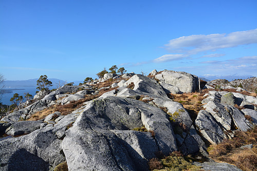 Toppen av Utbjoafjella, 349 moh.
