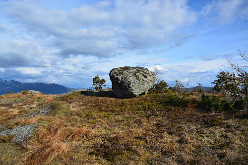 Toppen av Stovahaugen, 418 moh.