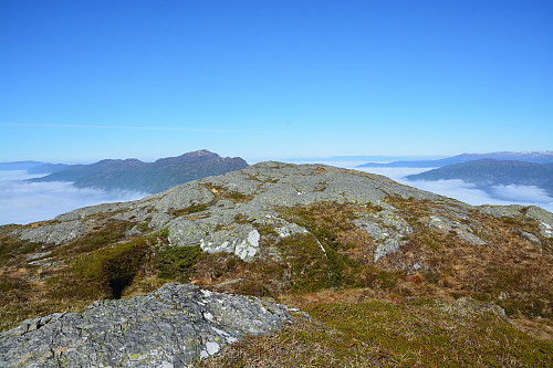 Toppen av Grønskornuten, 830 moh.