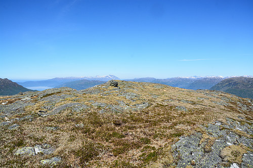 Toppen av Kvamsgrønnuten, 808 moh.