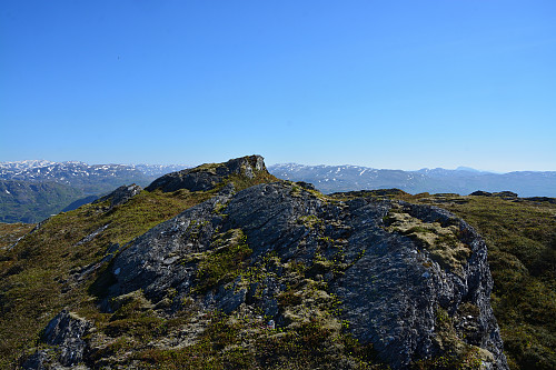 Toppen av Soleimsgrønnuten, 788 moh.