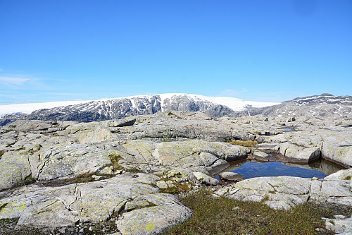 Toppunktet som ligger nord for Svartenut, 1053 moh.