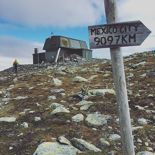 Ska vi færra te Mexico?