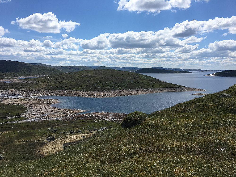 Utsikt sørover fjorden