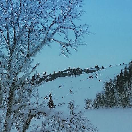 Ølsjøliafjorden med Ølsjølia seter ovafor.
