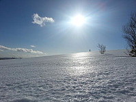 venkekristin_20150423_553953846ed0d.jpg