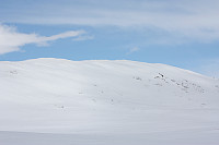 venkekristin_20150501_55435fd53b98b.jpg