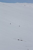 venkekristin_20150501_55435fde9f58e.jpg