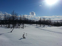 venkekristin_20150501_55435fe69b383.jpg