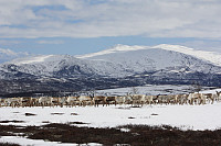 venkekristin_20150513_555371077f0b7.jpg