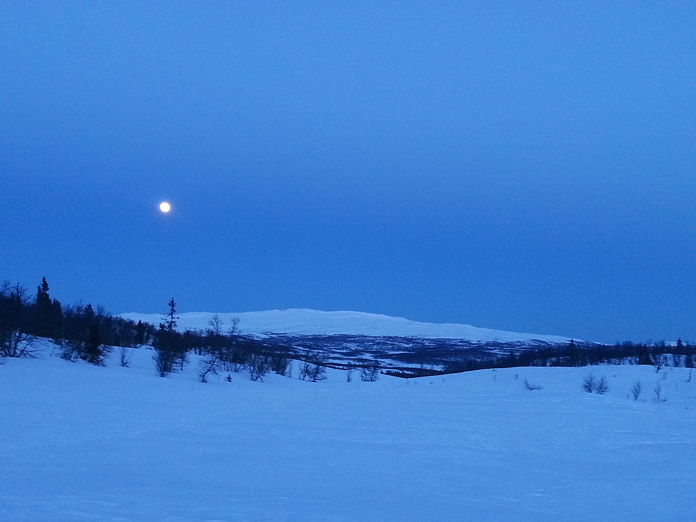 Månen står høyt over Spåtind, blåtimen :)
