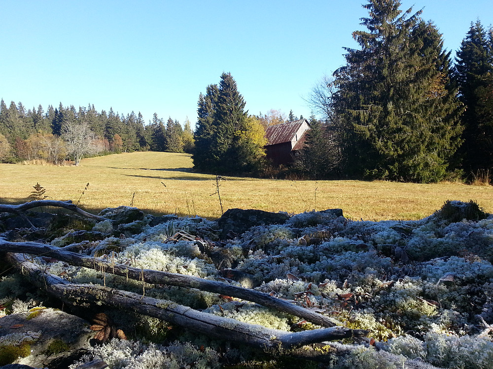 Litt rimfrost i skyggen, og fine høstfarger rundt.