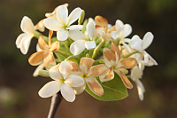 venkekristin_20160229_56d448e38db66.jpg
