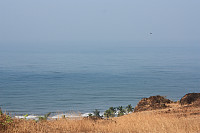 venkekristin_20160229_56d4494db17d9.jpg