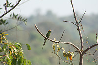 venkekristin_20160229_56d44a84596ab.jpg