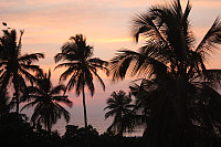 venkekristin_20160229_56d44b38d9ad7.jpg