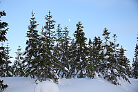 venkekristin_20180131_5a71fdf51b4b4.jpg