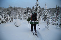 venkekristin_20180131_5a7202aa52196.jpg
