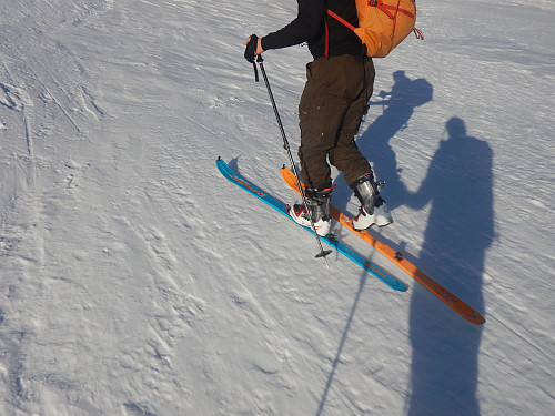 Nye ski