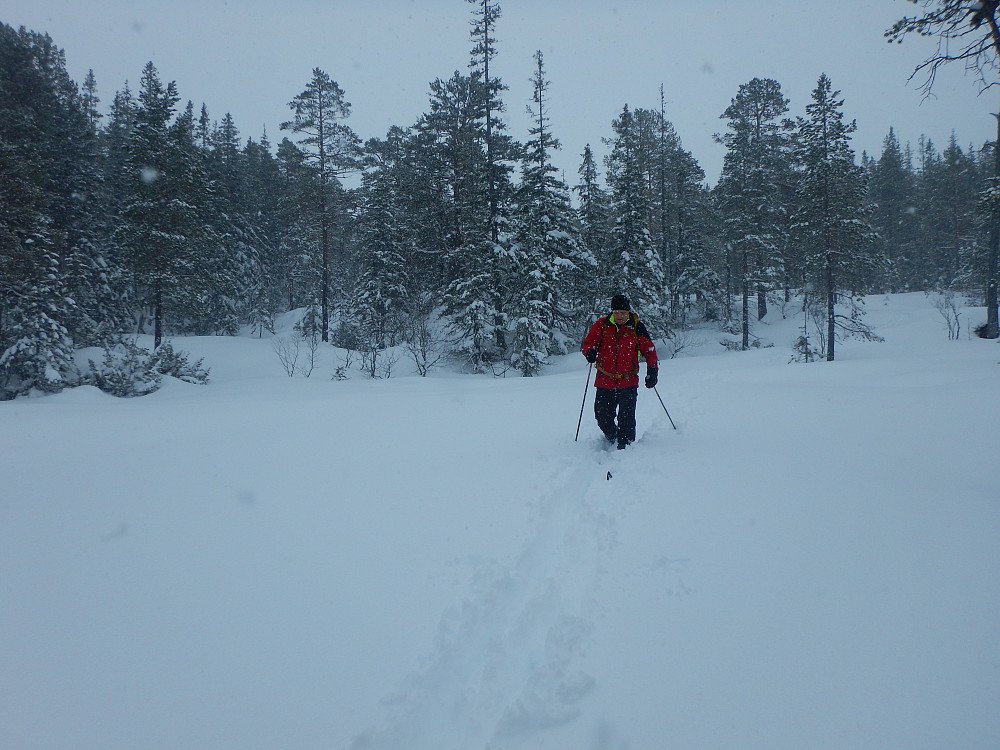 Rikelig med tørr snø