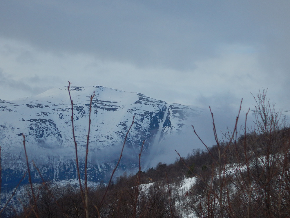 Veldig kul renne som Mari kjørte dagen før. Saudalen heter rennen, som går ned fra Vardknubban 1273moh
