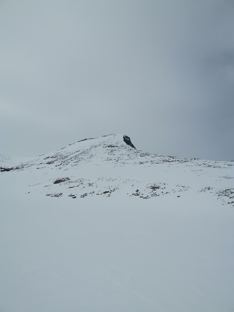 Østflanken
