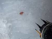 kristoffergh88_20210213_60284a1377773.jpg