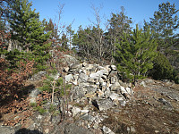 sio11_004.jpg