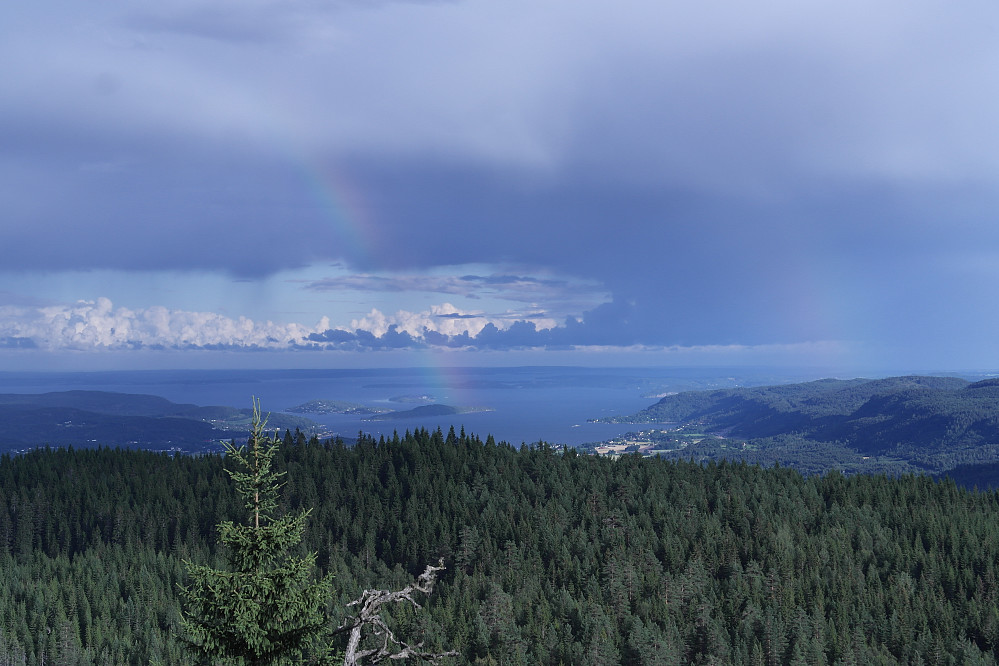 Noen ganger er man litt heldig med regnværet... regnbue over Kommersøya, sett fra sørpynten på Skog-Slettåsen, Sande i Vestfold