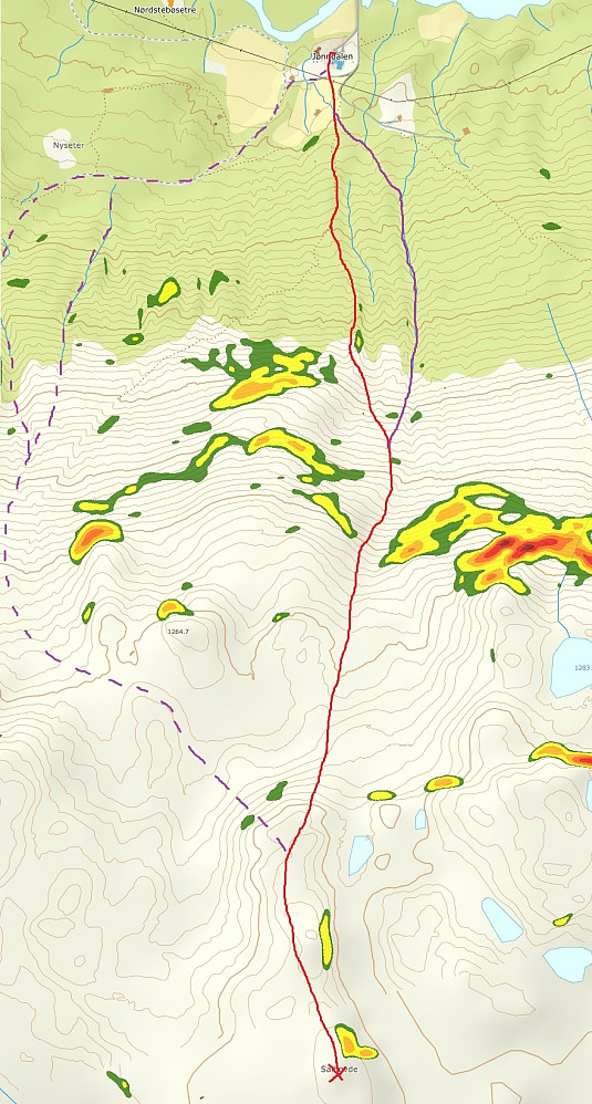 Følg rødt spor opp, og vær varsom fra 1150-1220 moh da en oppholder seg i utløpssoner for snøskred. Ta valgfri lilla rute ned.