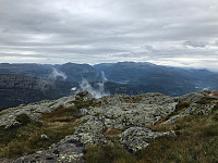 tropd_20200903_5f50db3e36a64.jpg